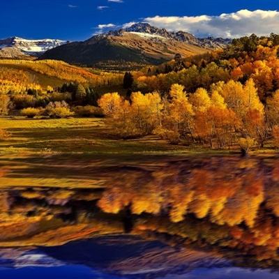 电玩城金鲨银鲨截图