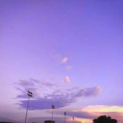 真人斗牛牛最新版